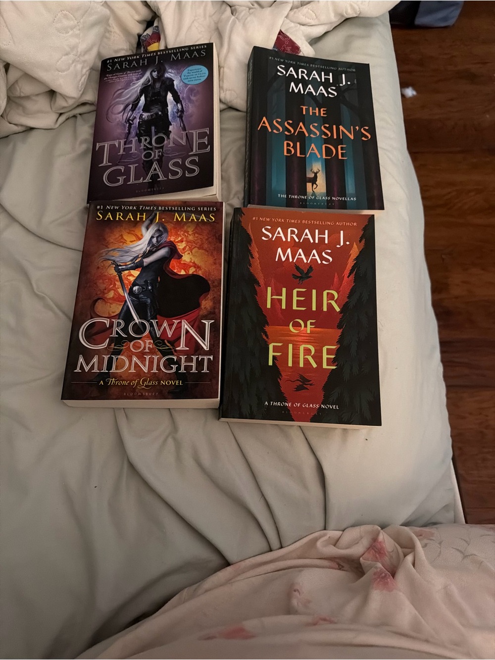 Sarah J. Maas book lot